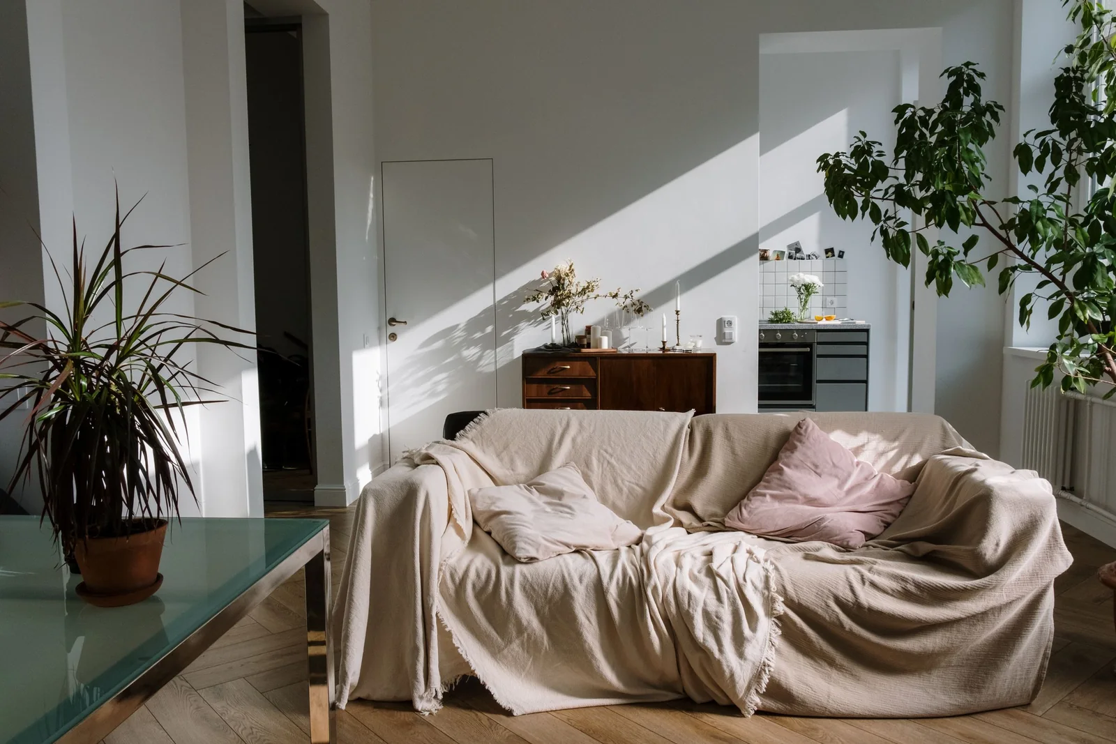 Sunlight across a sofa in a bright living room